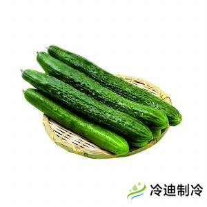 黃瓜冷庫(kù)的儲(chǔ)存方式和溫度(圖1) 黃瓜冷庫(kù)的儲(chǔ)存方式和溫度(圖1)