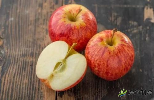 蘋果冷庫(kù)儲(chǔ)藏特點(diǎn)，保鮮冷庫(kù)造價(jià)及影響因素(圖1)