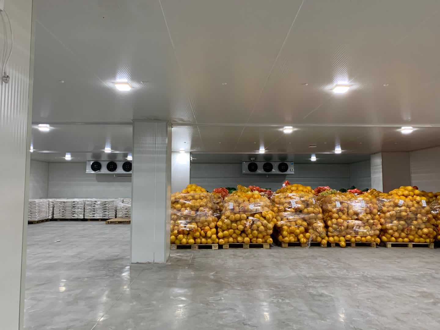 建一套農(nóng)產(chǎn)品蔬菜保鮮冷庫安裝需要多少錢? 建一套農(nóng)產(chǎn)品蔬菜保鮮冷庫安裝需要多少錢?