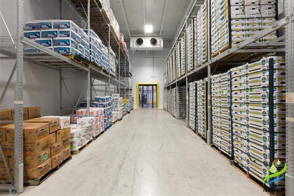 安裝一個(gè)100平方紅酒恒溫冷庫造價(jià)多少錢？