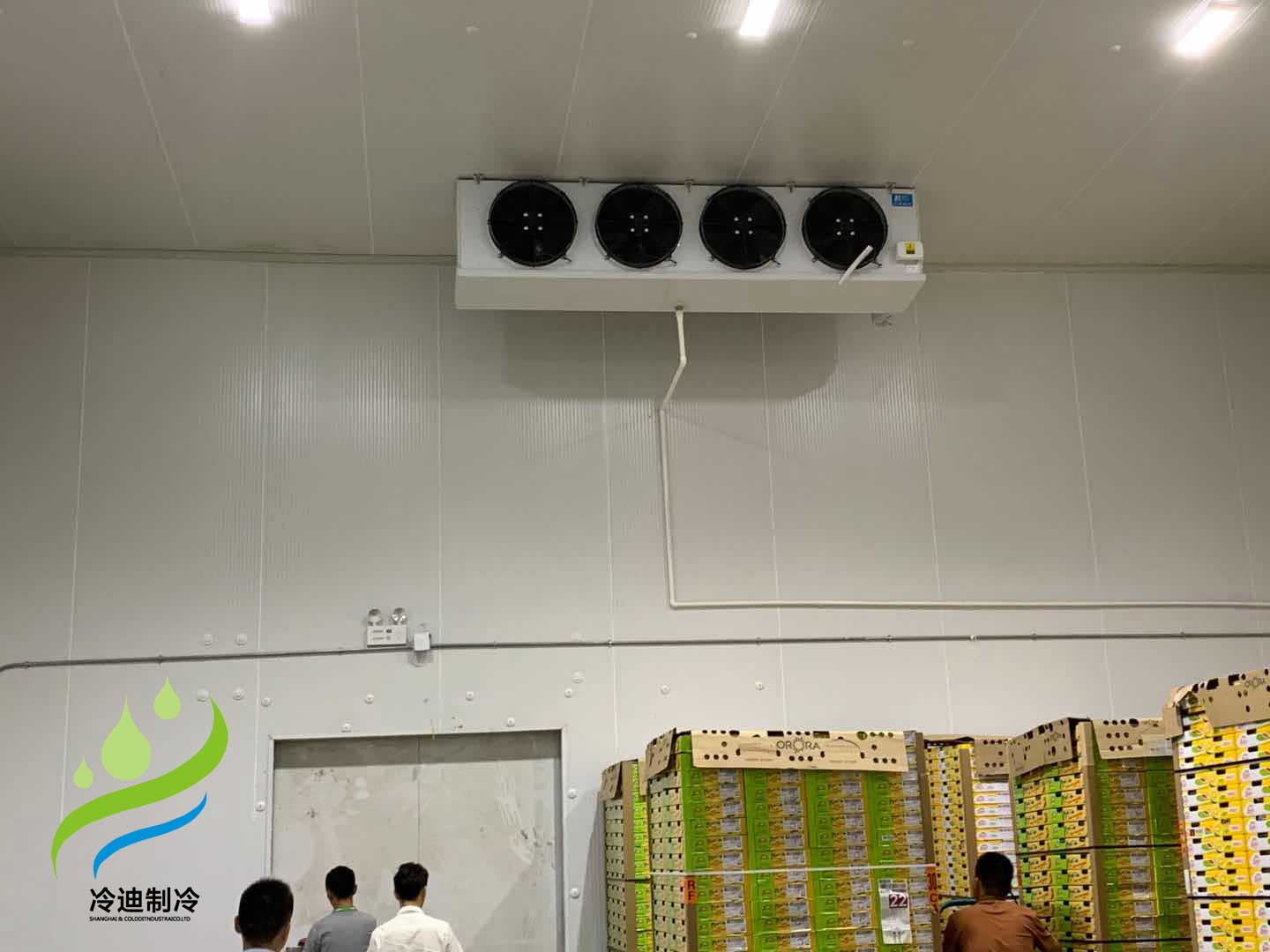 建造100平方棗子保鮮冷庫造價多少錢？