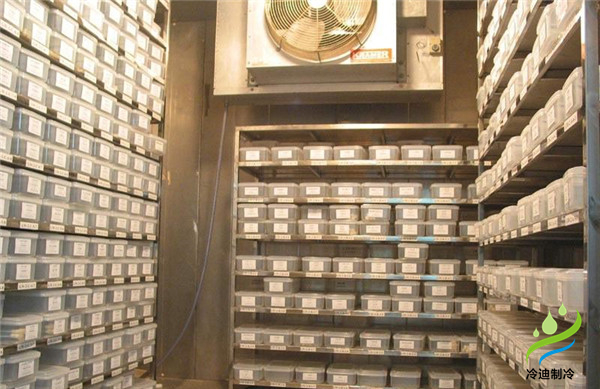 安裝一個(gè)小型種子冷庫大概要多少錢？