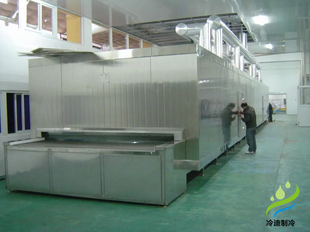 安裝一條速凍隧道大概需要花多少錢？