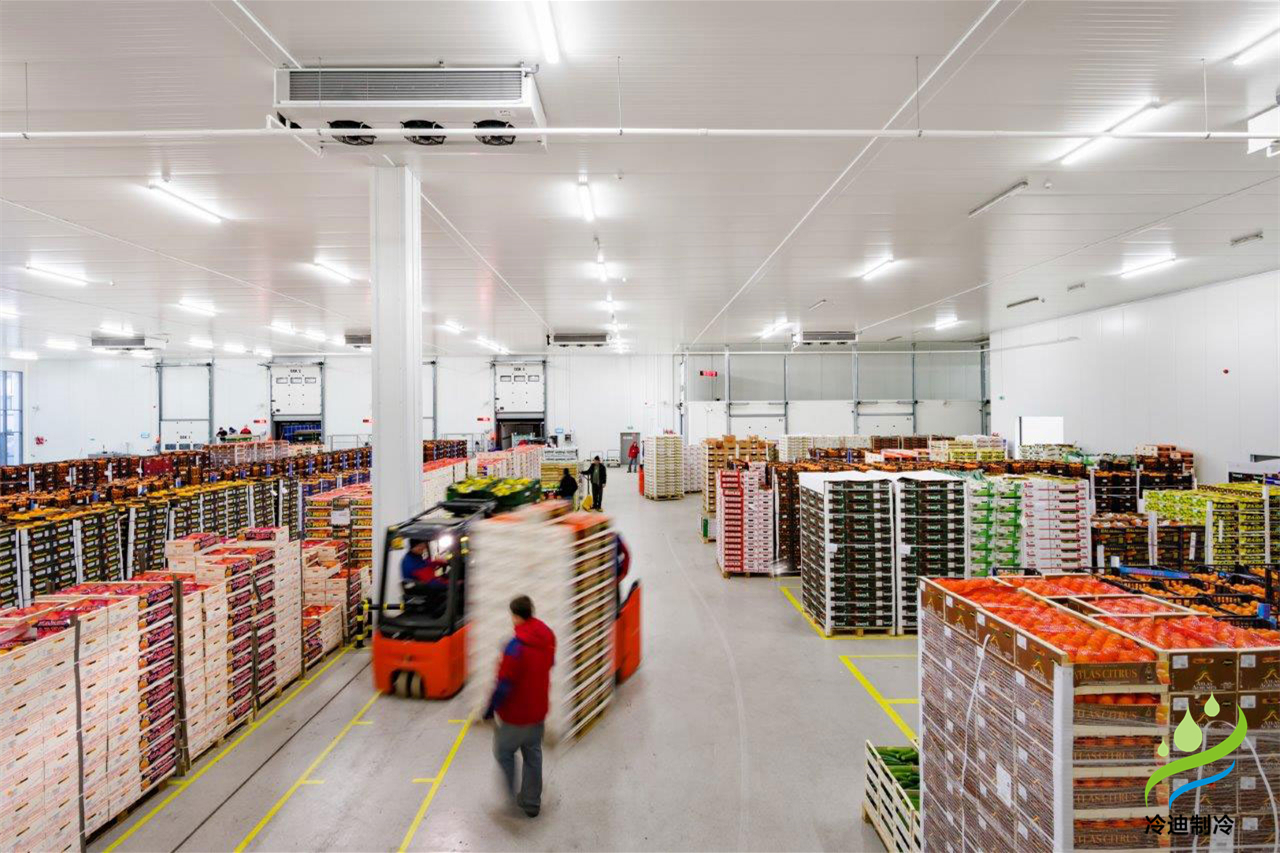 建設(shè)冷庫造價正常多少錢一平方米？