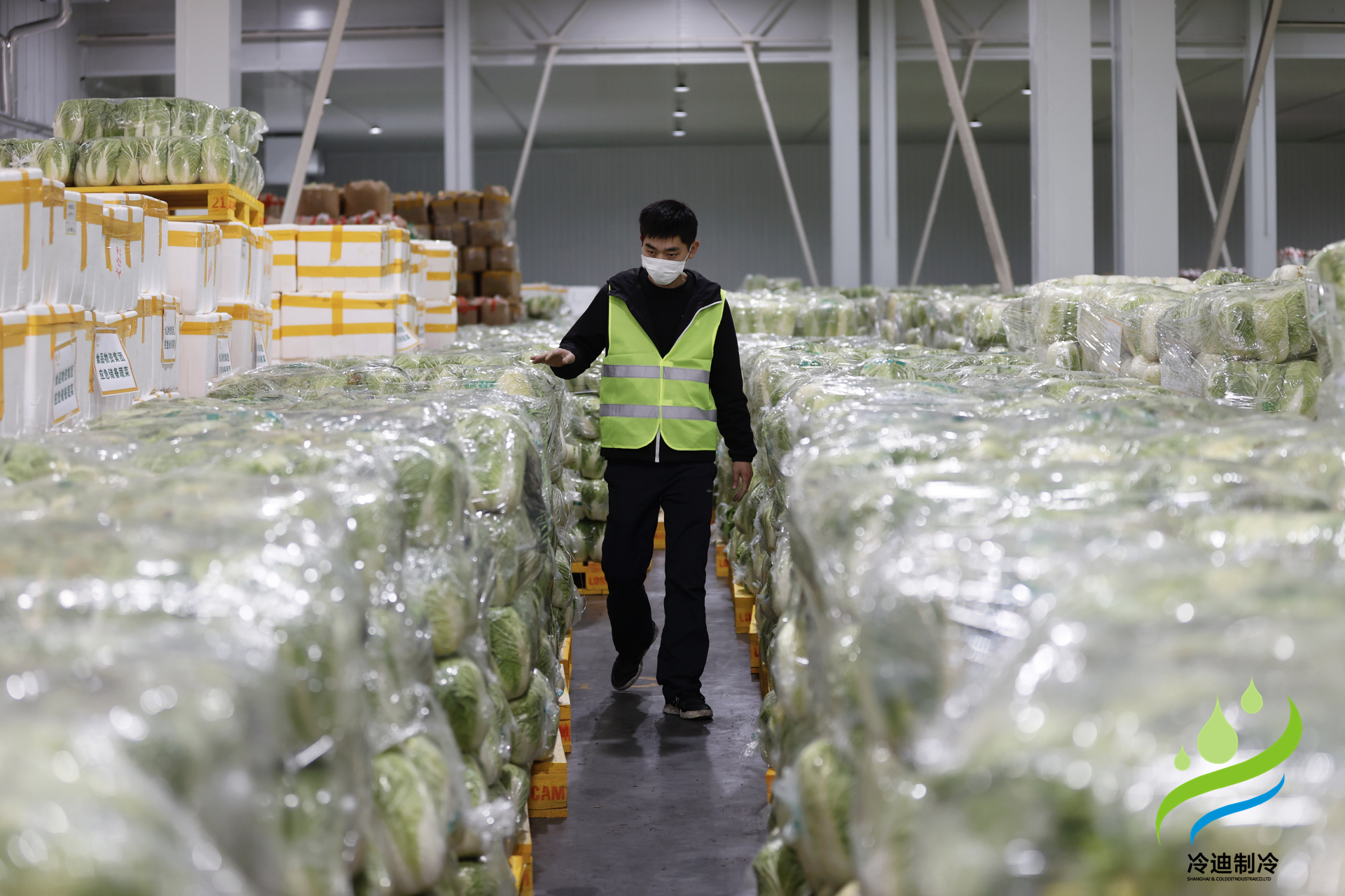 安裝一個(gè)生鮮冷鏈冷庫需要多少錢？(圖2)