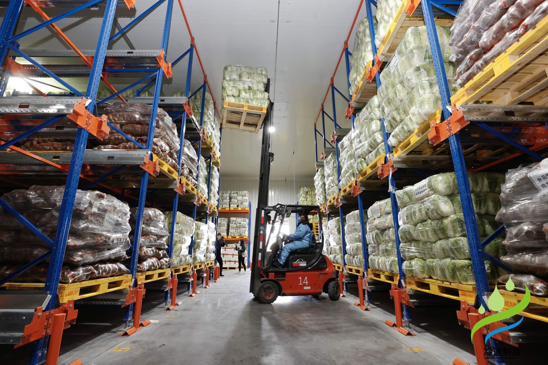 建造一個(gè)預(yù)冷冷庫(kù)需要多少錢？(圖2)