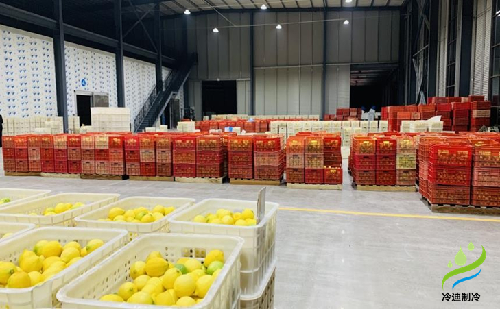 建造一個(gè)橙子冷庫(kù)需要多少錢？(圖1)