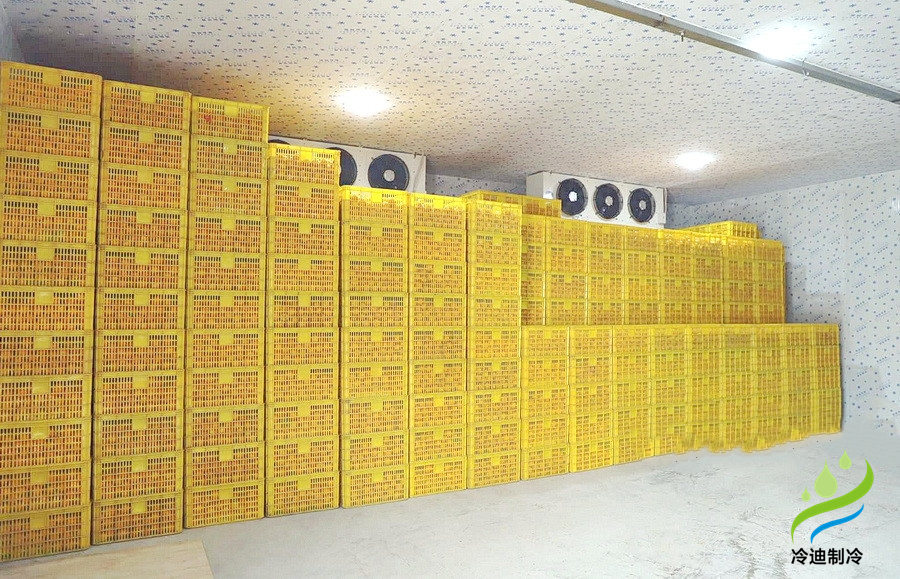建造一個(gè)橙子冷庫(kù)需要多少錢？(圖2)