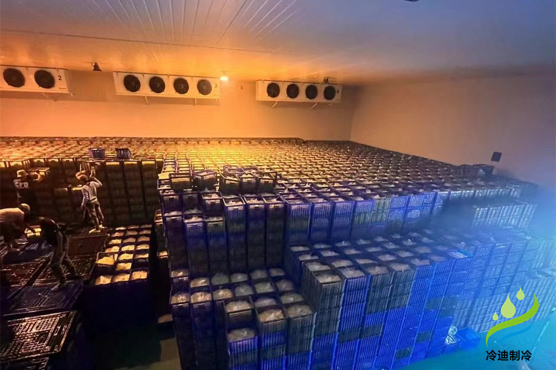 建設(shè)大型冷庫造價多少錢一平方米？