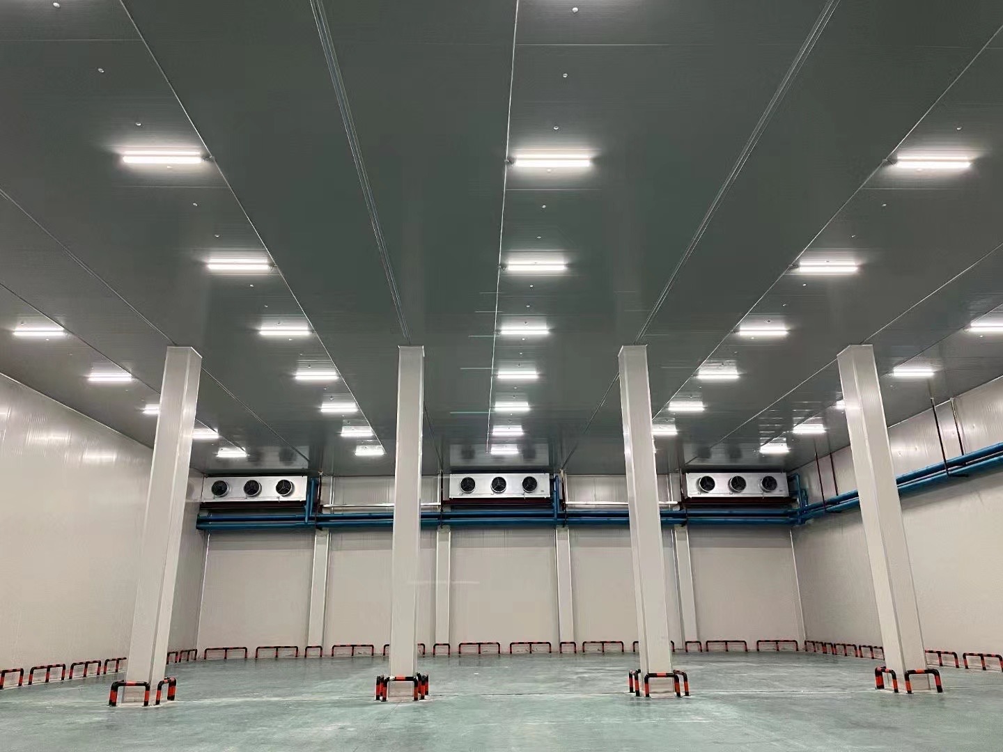 1000平方米的水果保鮮庫(kù)成本(圖2) 冷庫(kù)