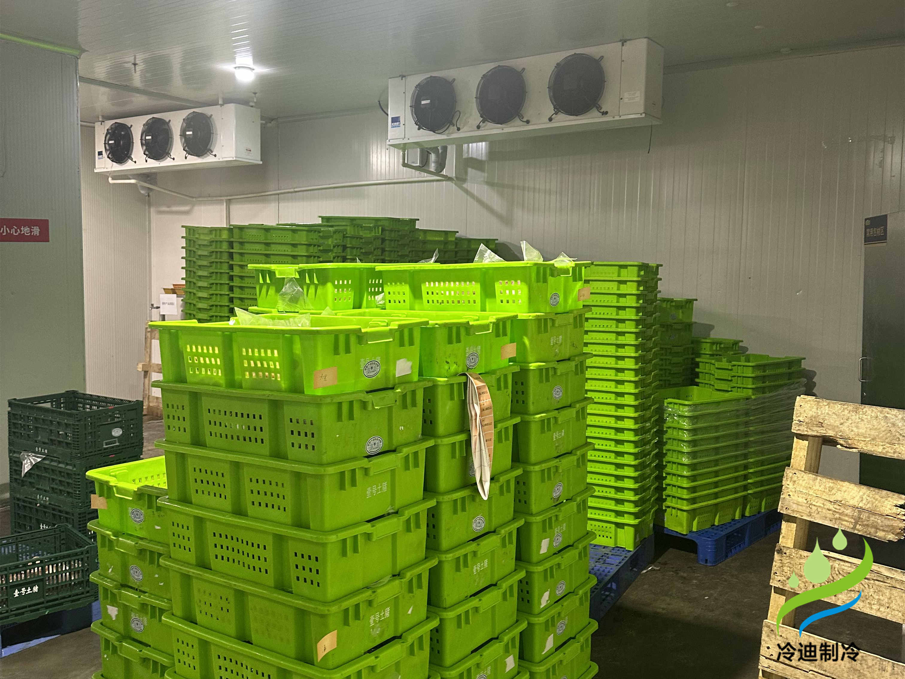 建造一座30噸冷庫造價需要多少錢？